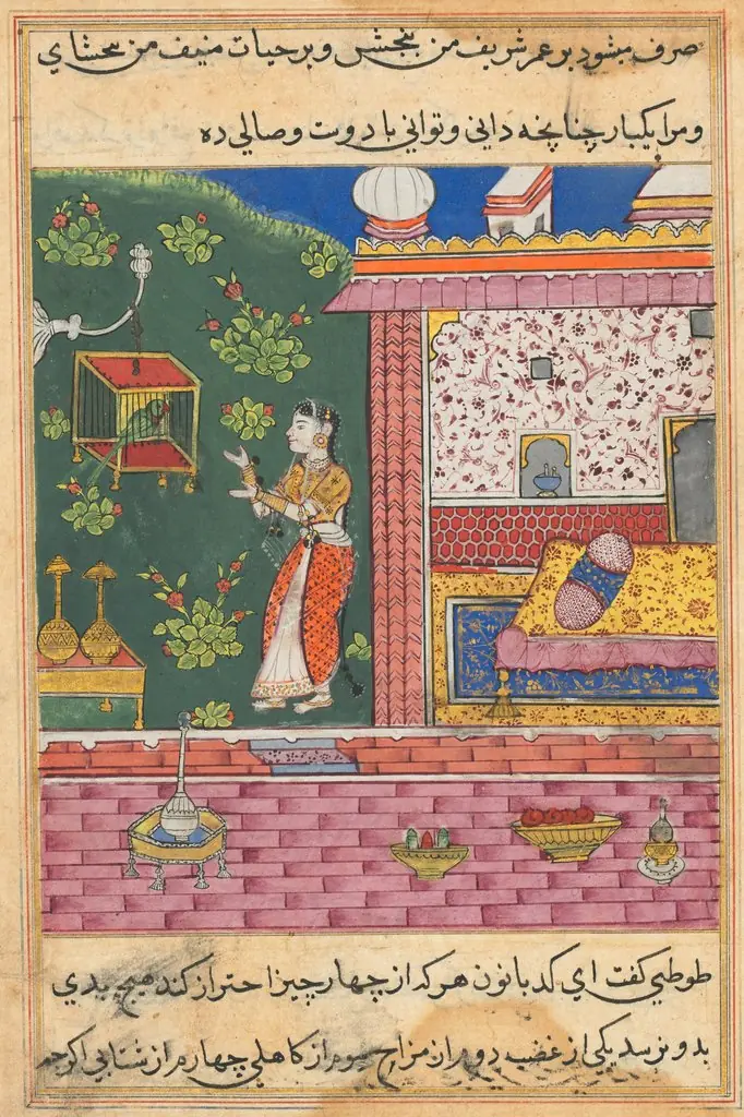 The Parrot Addresses Khujasta at the Beginning of the Thirtieth Night, from a Tuti-nama (Tales of a Parrot)