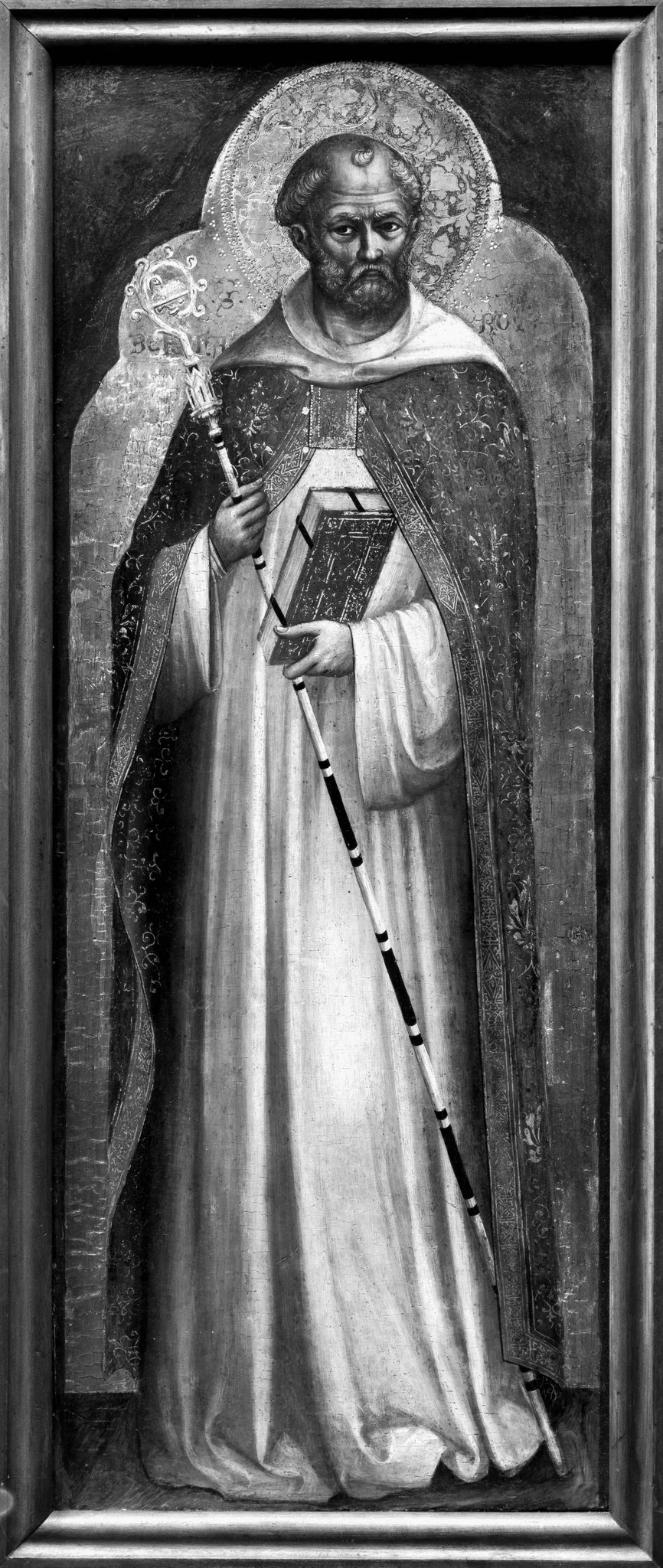 Saint Bernard
