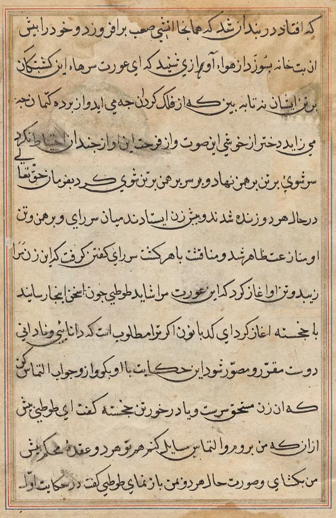 Page from Tales of a Parrot (Tuti-nama): text page
