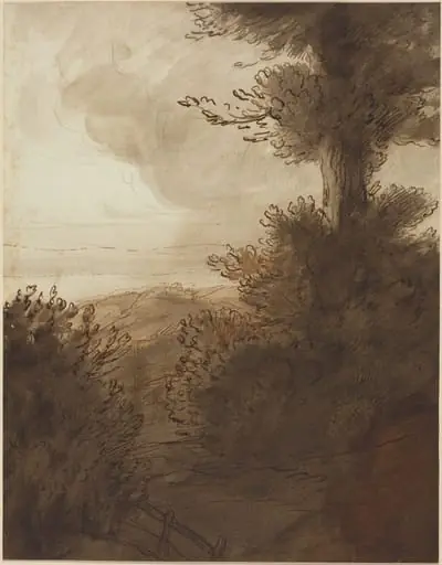 The Big Tree