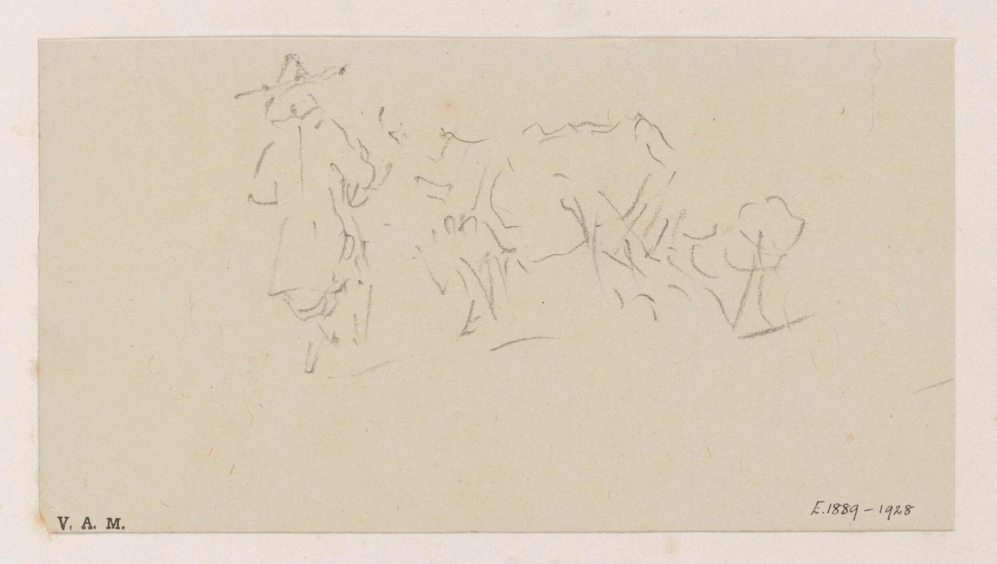 A cowherd and cow