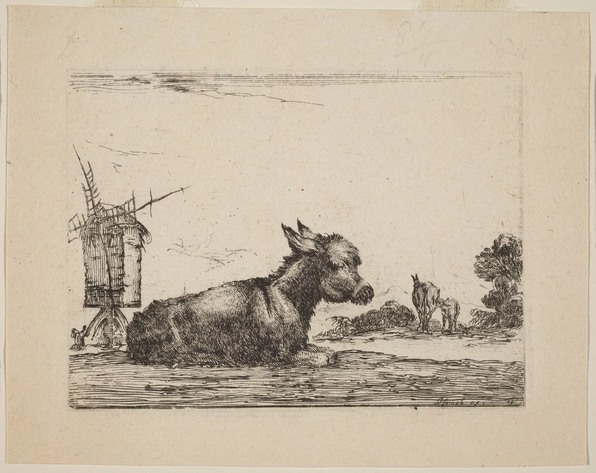 Donkey Resting, by Stefano Della Bella, ink, 1642