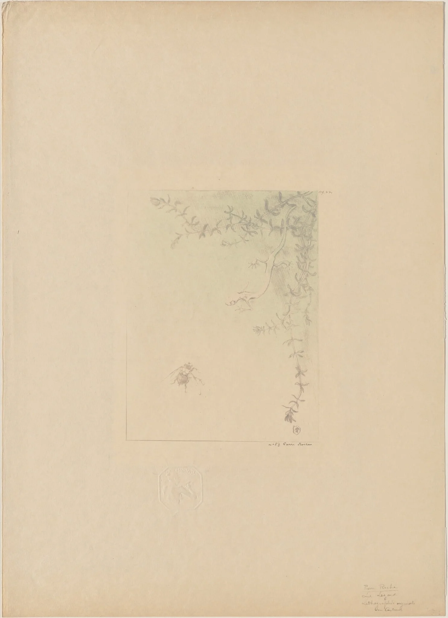 Salamander (La Salamandre), by Pierre Roche, ink, 1895
