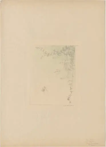 Salamander (La Salamandre)