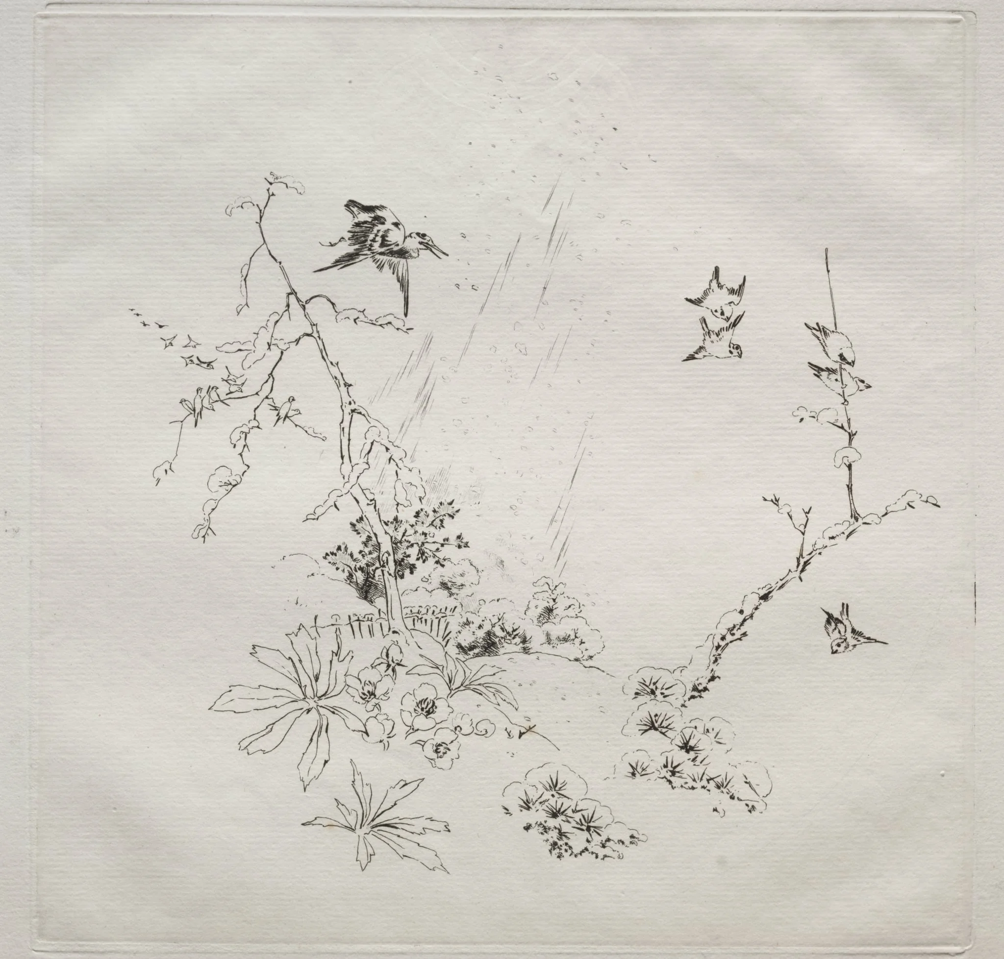 Parisian Service (Haviland service): Snow (no. 6), by Félix Bracquemond, 1875