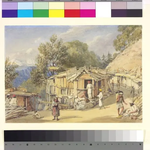 View of the wood bazaar, Simla