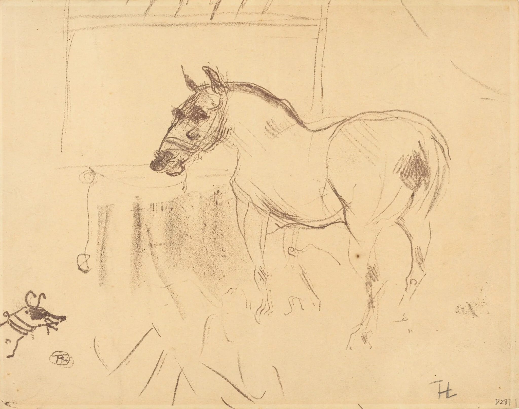 The Small Pony from Calmese (Le petit poney de Calmèse), by Henri de Toulouse-Lautrec, ink, 1899
