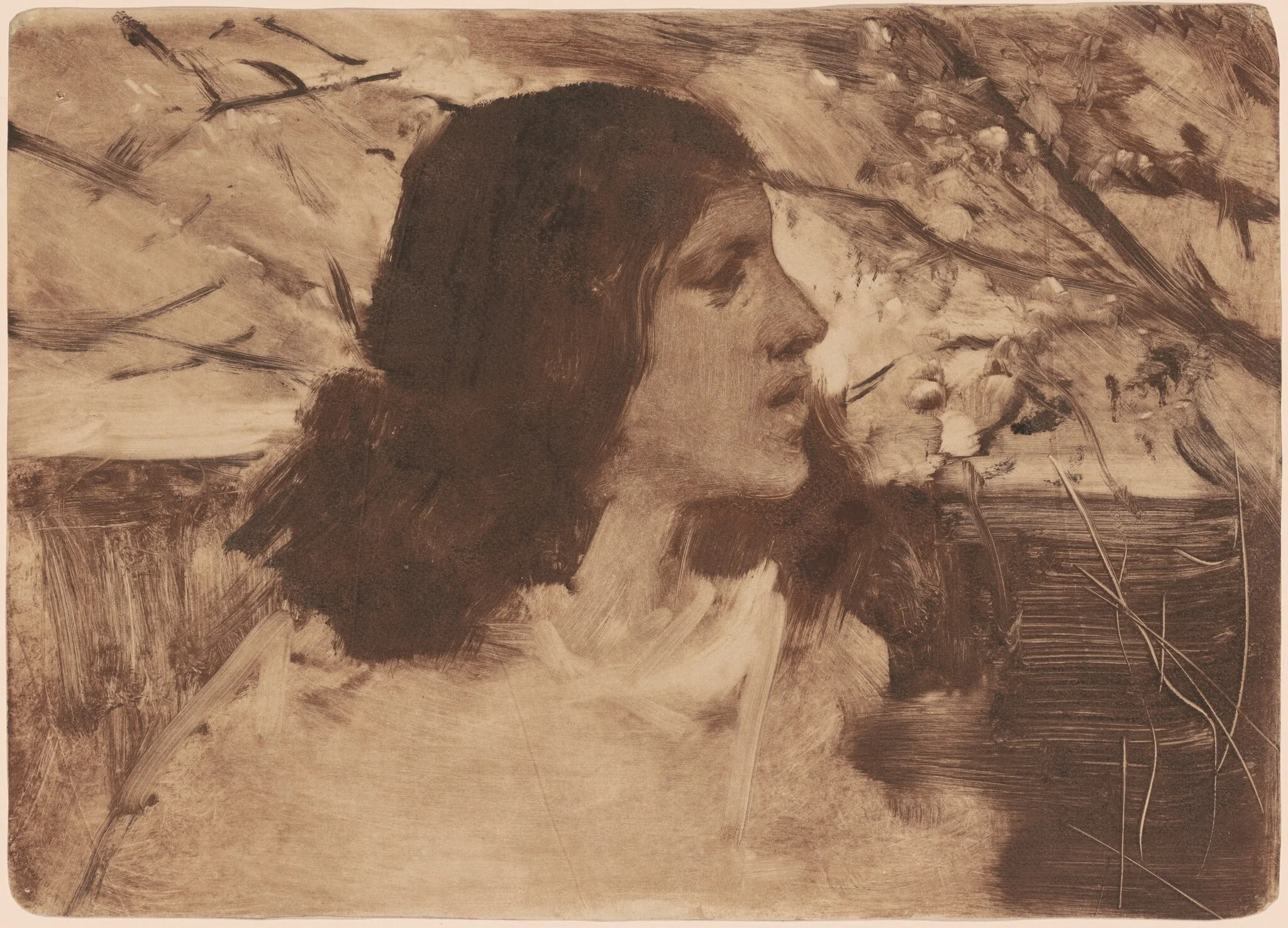 Head of a Woman