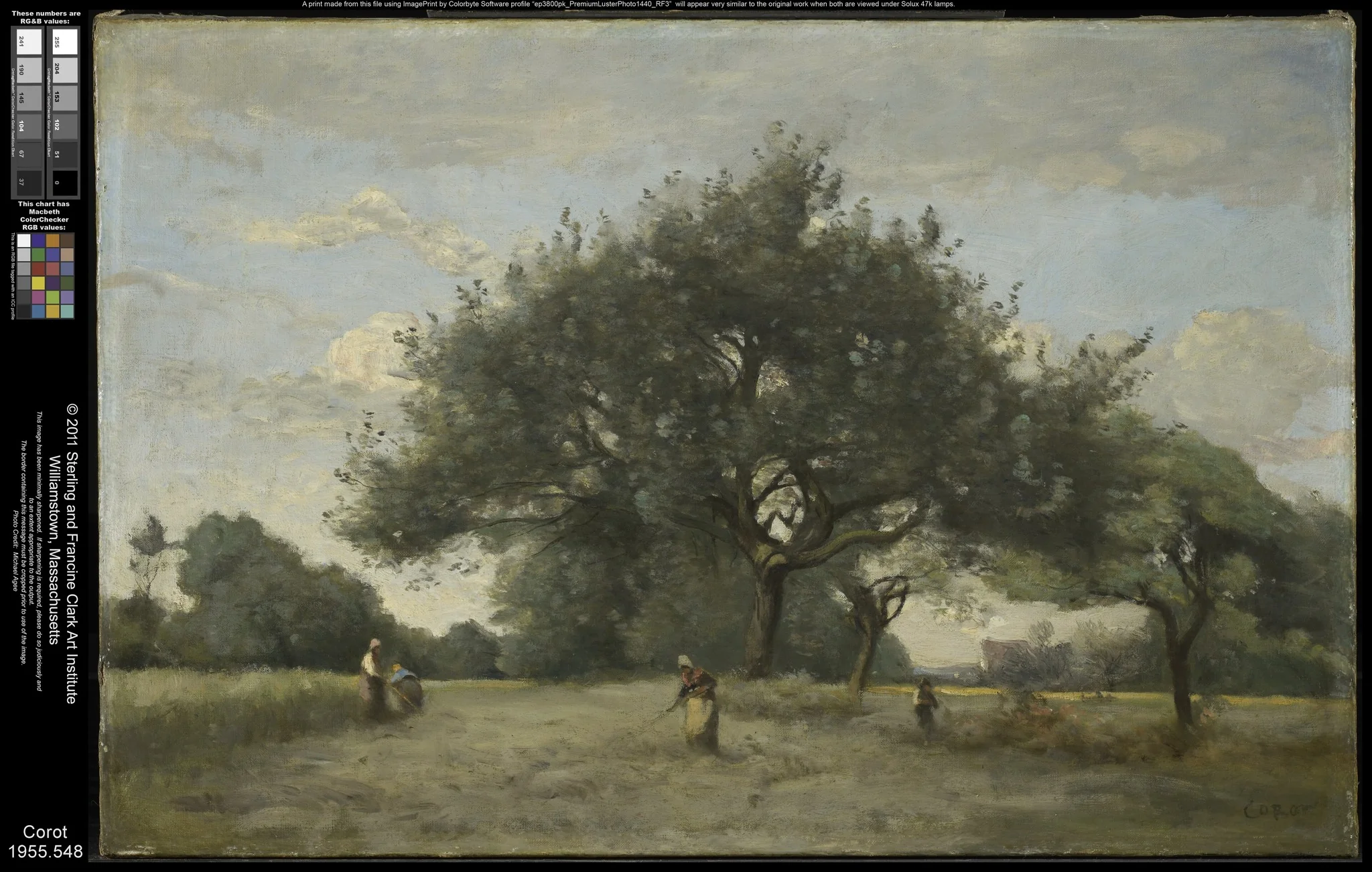 Apple Trees in a Field, by Jean Baptiste Camille Corot, oil, 1867