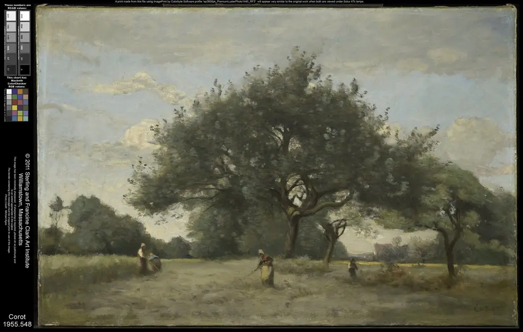 Apple Trees in a Field