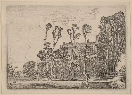 The Sower