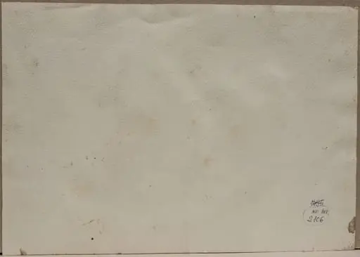 Flori în ulcea de lut