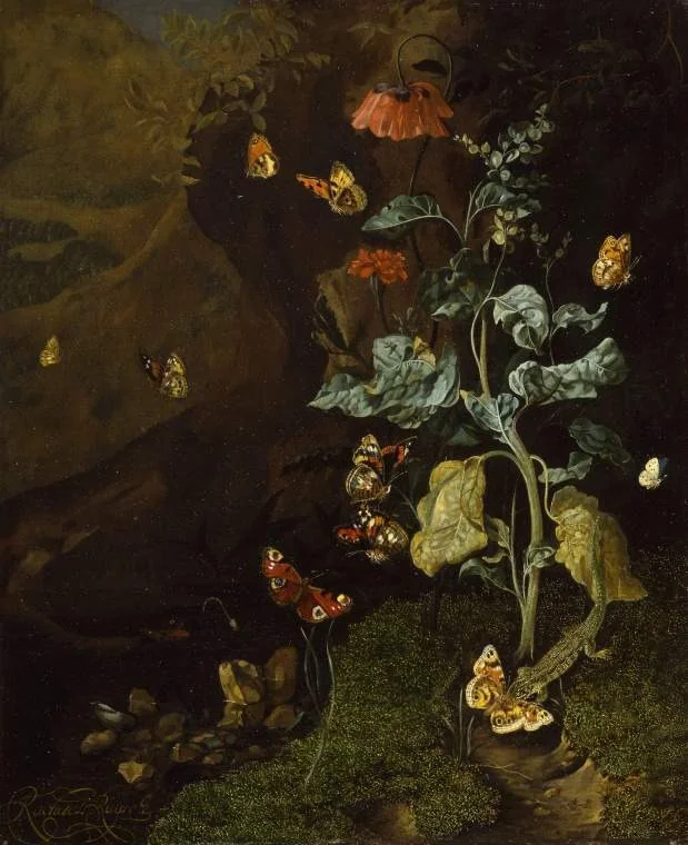 Insects and a lizard in a wood, by Rachel Ruysch, oil, 1692