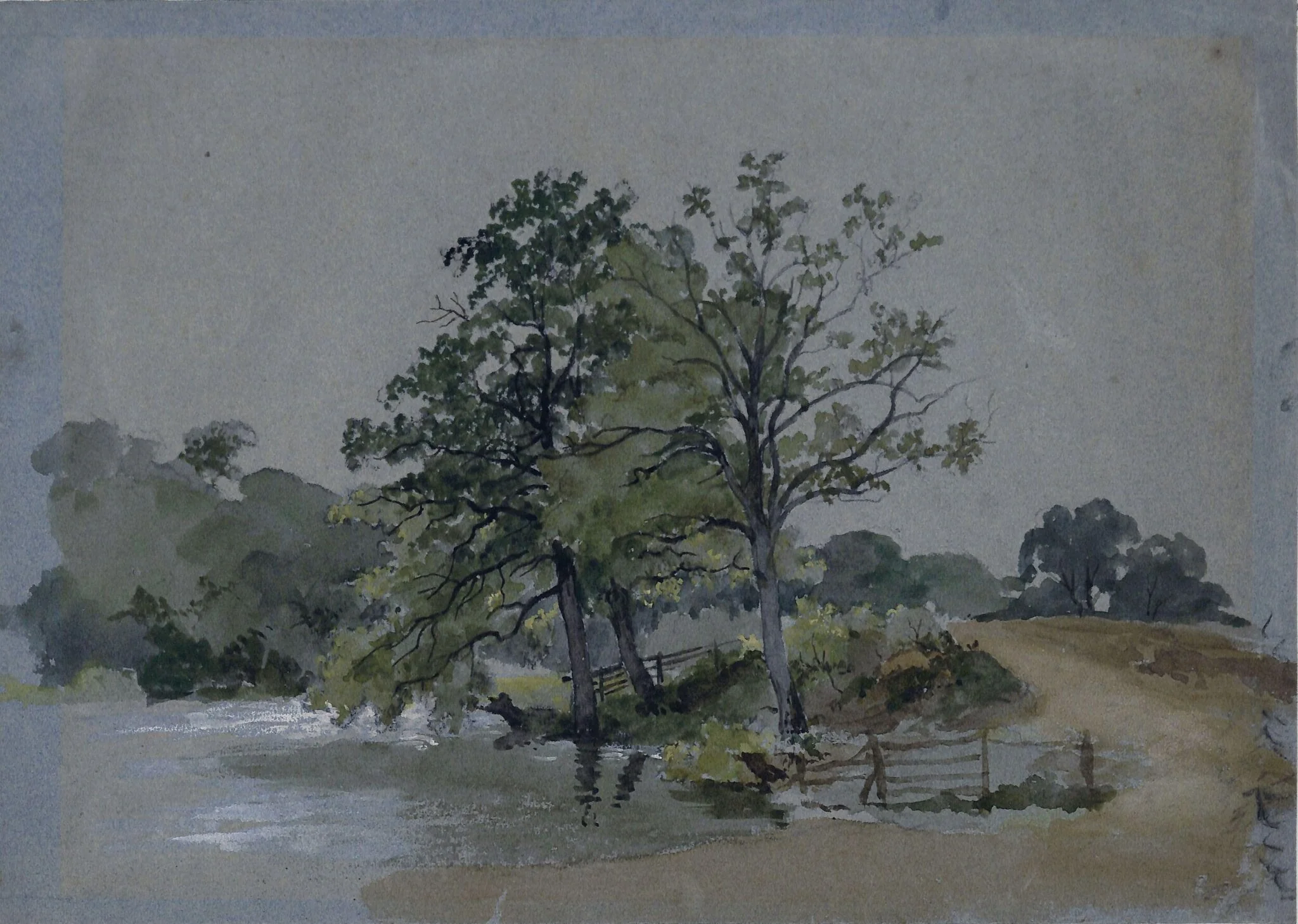Trees by a River