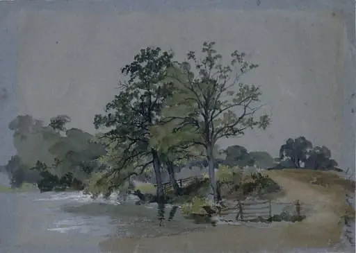 Trees by a River