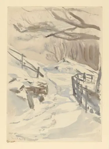 Snowy landscape