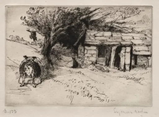 The Cabin