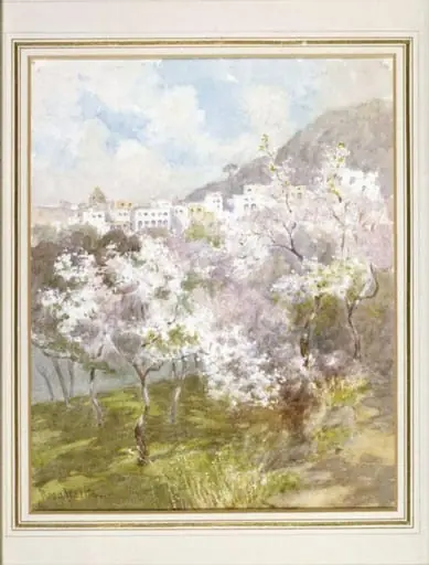 White Almond Blossom, Capri