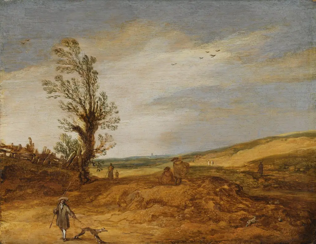 Dune landscape