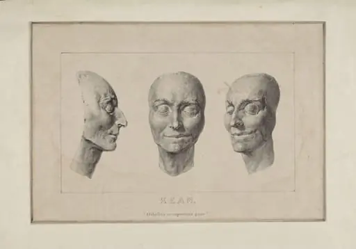 H Beard Print Collection