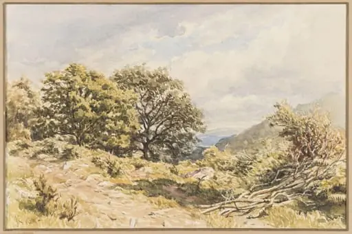 A Woody Bit, North Wales