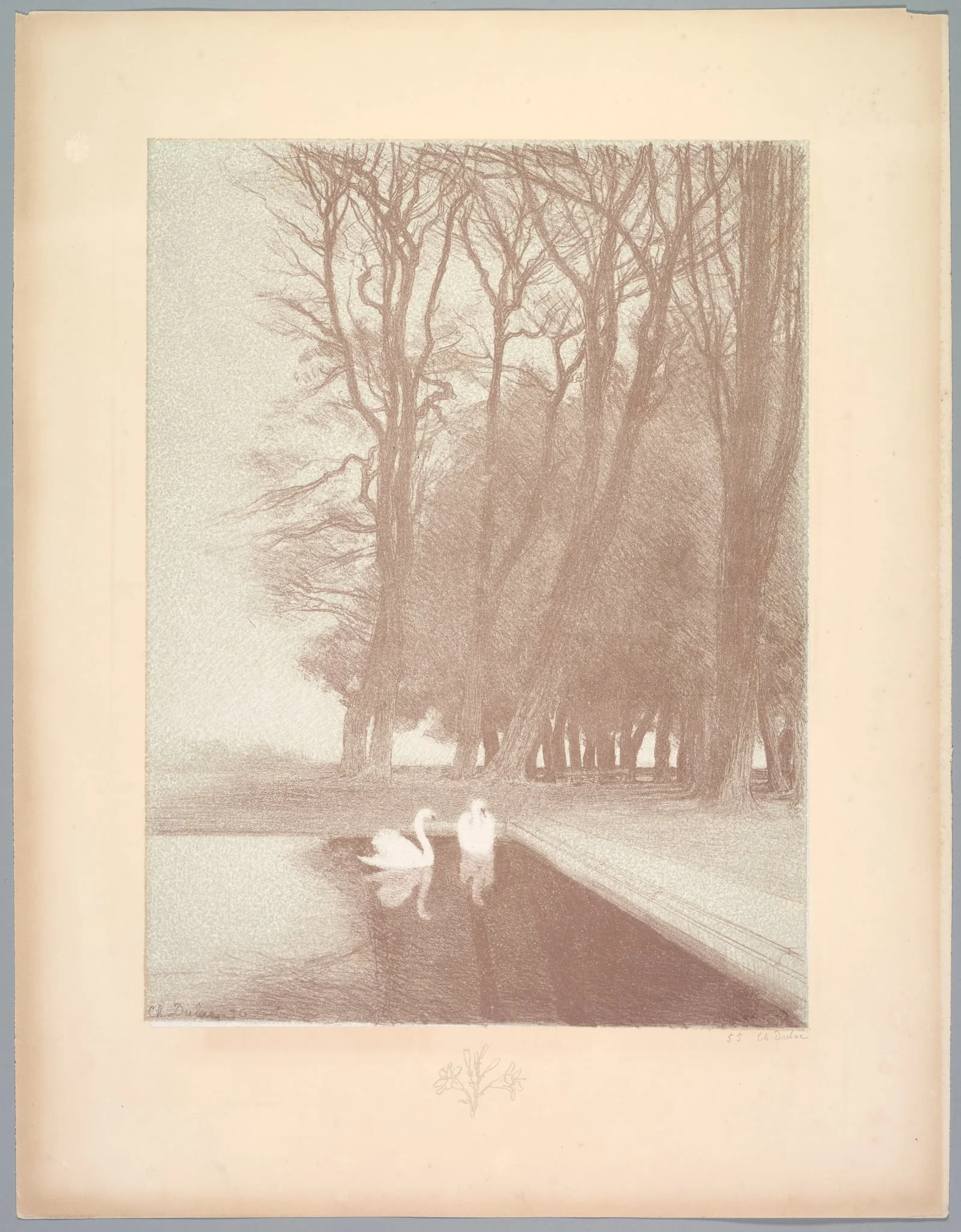Suite de Paysages: Landscape, Plate 6, Remarque, Lilies, by Charles-Marie Dulac, 1892