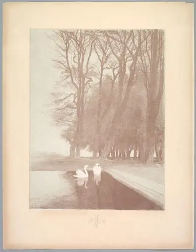 Suite de Paysages: Landscape, Plate 6, Remarque, Lilies