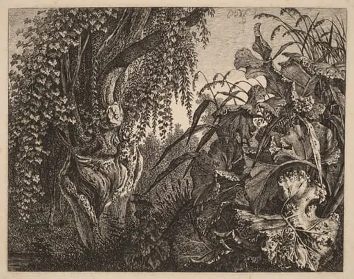 A Thicket; a Gnarled Willow Tree at Left, a Thicket of Vegetation at Right