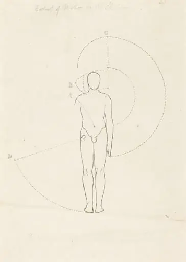 Extent of Motion, One Figure