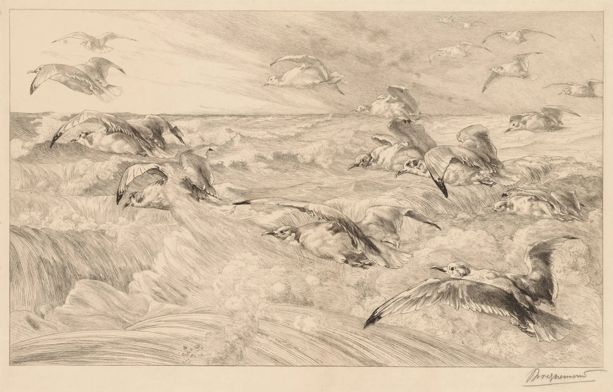 Seagulls (Les Mouettes)
