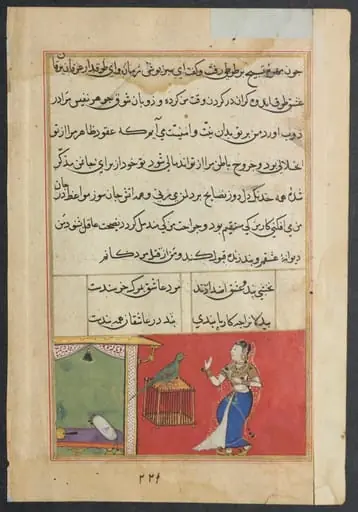 The parrot addresses Khujasta at the beginning of the forty-seventh night, from a Tuti-nama (Tales of a Parrot): Forty-seventh Night