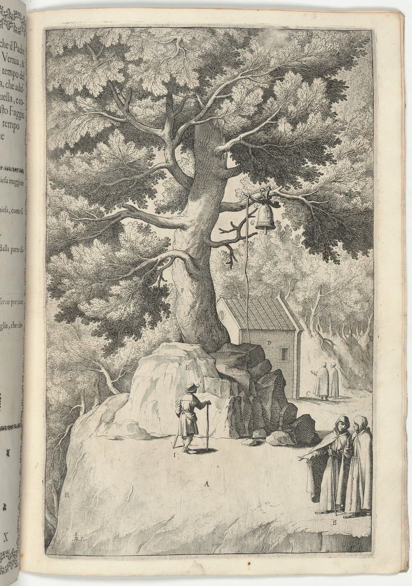 Beech Tree with the Bell (Faggio della campana) [plate X], by Jacopo Ligozzi, ink, 1612