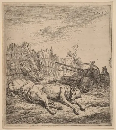 Hunting Dogs