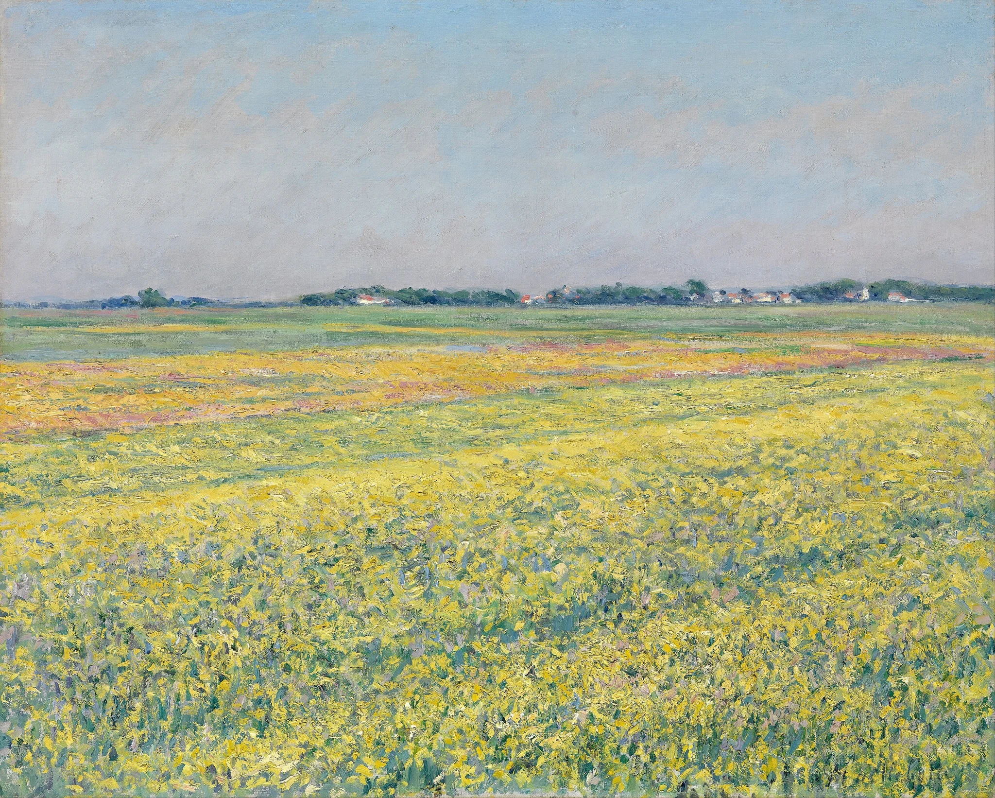 The plain of Gennevilliers, yellow fields