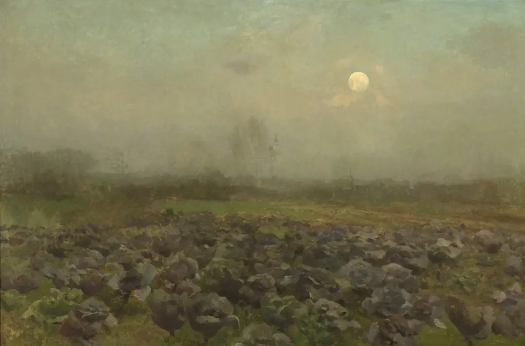 Cabbage Field by Moonlight