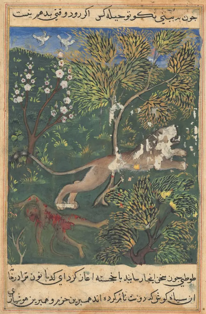 The lion, suspecting treachery on the part of the monkey, slays him and flees, from a Tuti-nama (Tales of a Parrot): Twenty-ninth Night
