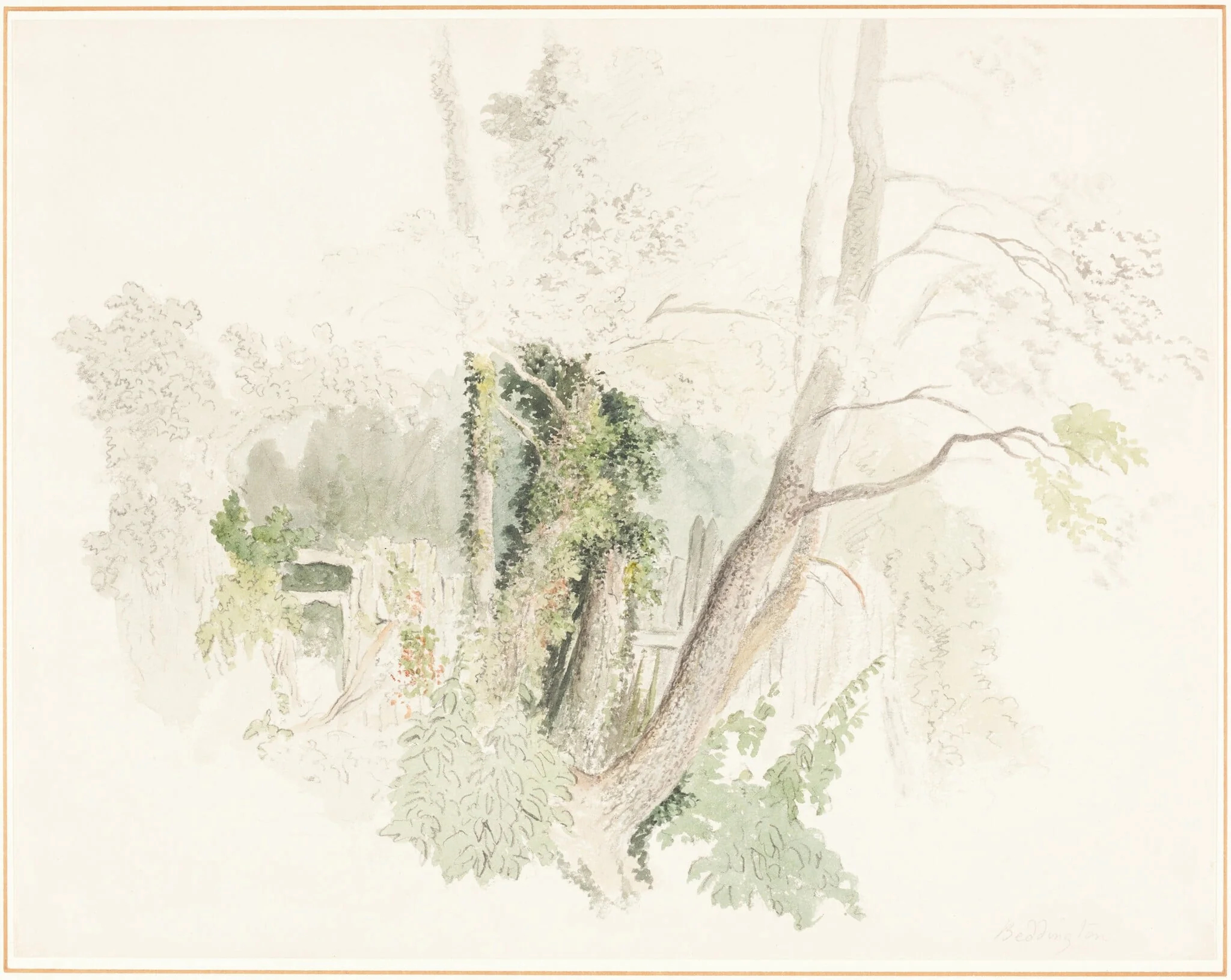 Trees at Beddington, by Robert Hills, graphite, 1805