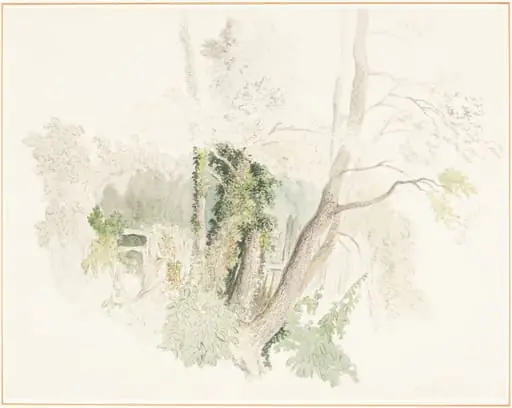 Trees at Beddington