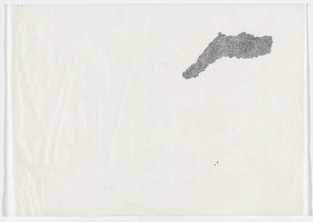 Untitled, by Bernardo Ortiz Campo, ink, 2007