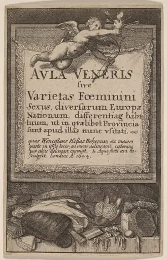 Aula Veneris: Title Page