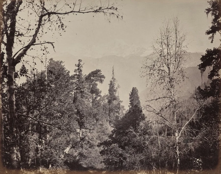 The Upper Himmalayahs. View of the Mountain of Bunderpoonch with the Jumnootri Peak, 20,458 above the Level of the Sea, by Samuel Bourne, 1866