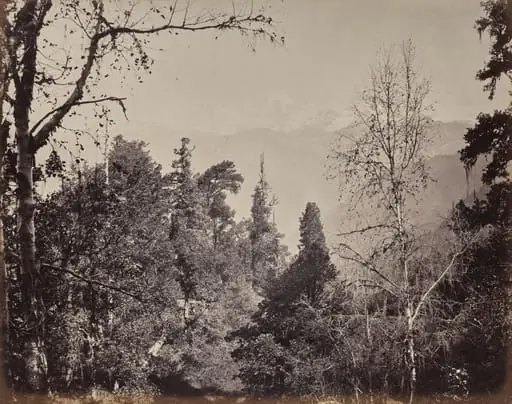The Upper Himmalayahs. View of the Mountain of Bunderpoonch with the Jumnootri Peak, 20,458 above the Level of the Sea