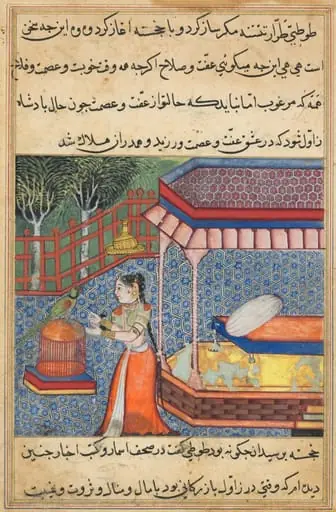The parrot addresses Khujasta at the beginning of the thirty-sixth night, from a Tuti-nama (Tales of a Parrot)