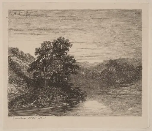 Trees by a River