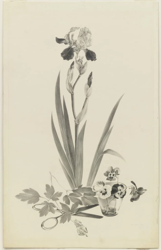 Untitled, by Peter Blume, graphite, 1934