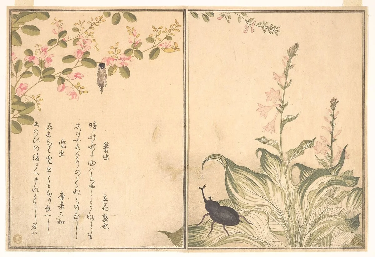 『画本虫撰』「蓑虫」「兜虫」|Bagworm (Minomushi); Horned Scarab Beetle (Kabutomushi), from the Picture Book of Crawling Creatures (Ehon mushi erami), by Kitagawa Utamaro, ink, 1788