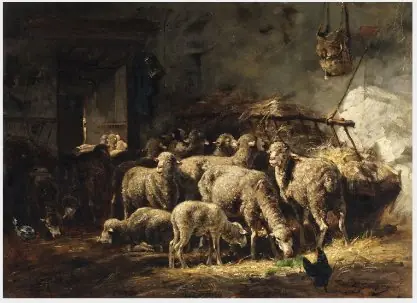 Sheep in a Barn