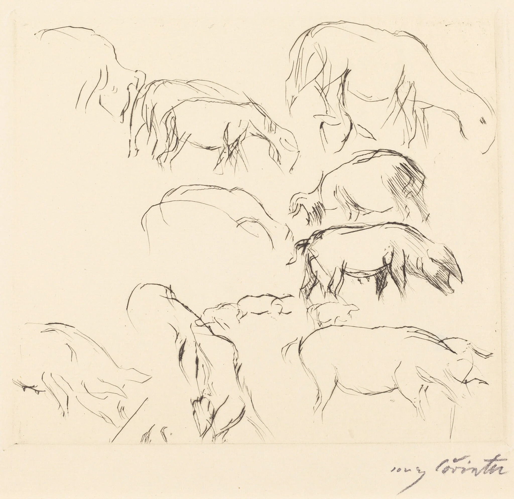 Verschiedene Tierstudien (Animal Studies), by Lovis Corinth, ink, 1917