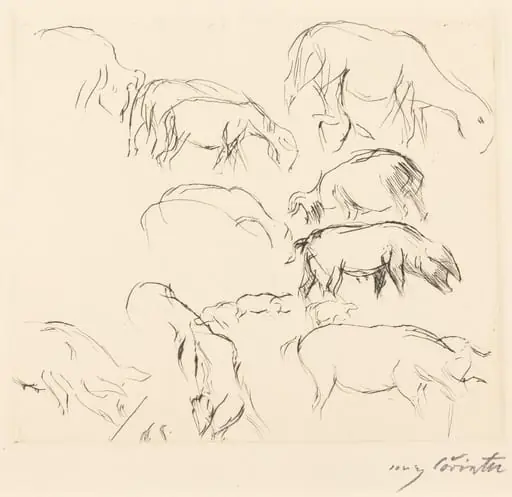 Verschiedene Tierstudien (Animal Studies)