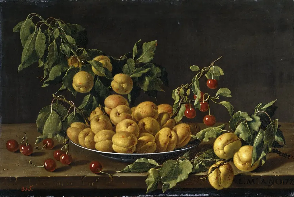 Still Life with Plate of Apricots and Morello Cherries